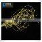 2015 Christmas, Party, Holiday Holiday Name LED String Lights