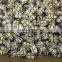 g4 led bulb light 12v led lamp g4 12v 1.8w 9pcs 5050 leds pillar shape led bulb g4 high bright high quality 3 years warranty
