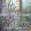 Chinese factory cheap wholesale real limonium grass with long stem