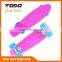 Deluxe Complete Plastic Skateboard Blue Board