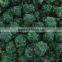 Supply IQF Spinach Ball with good quality for sale