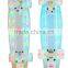 PC material skateboard LED deck