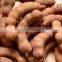 Natural Tamarind Juice Beverage - OEM