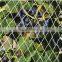 agriculture plastic net (low factory price)To prevent the bird net