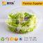 Transparent take away plastic salad box with lid