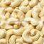 VietNam Cashew Nut Kernel WW 320