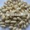 Chinese Long Type Peanut Kernels