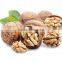 cheap and shelled black walnuts for sale