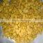 Big hybrid solitary disease resistance orange red long pepper seeds