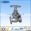 API594, API 6D Wafer swing dual plate check valve