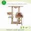 DXCT002 Assembled and Sturdy pet fusion modern cat activity tree