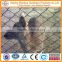 Hot sell animal fence chain link fence price