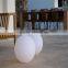 Outdoor Light Hollow Sphere Dome Camera Housing LED Shining Ball