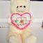 Valentine's day white teddy bear for lover