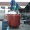 Stirred Tank Reactor, Stainless Industrial Reactor/Reactor Pharmaceutical