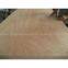 KINGDO COMMERCIAL PLYWOOD / FURNITURE GRADE PLYWOOD.package