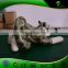 Inflatable Cartoon Leopard Replica Balloon Animal Character Toys Inflatable Dolls for kids Ride-on Toy