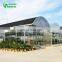 China Cheapest Garden Greenhouses/Hydroponics Systems/Grow Tent