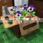 Laser Cut Screen Planter Pot With Coloful Design