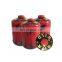 China screw valve butane gas cartridge 450g and butane gas canister for climber
