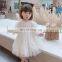 Children's clothing ins girls dress 2020 children's fluffy gauze skirt female autumn princess dress