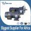 sever electric motor