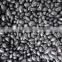 black kidney bean
