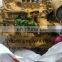 Original  New Complete Engine Assy C4.4 Excavator Diesel Engine Assy