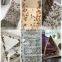 Moth House Borer Moth Rice Flour Moth Insect Trap Factory Wholesale Good Quality Closet Indoor and Outdoor TRAPS 2 Year 7-15days