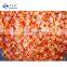 Manufacturer of IQF Frozen Tomato Cube