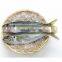 frozen horse mackerel fish frozen horse mackerel 20kg box