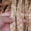 20 mm natural water hyacinth rope cord DIY for furniture rug Basket yarn rustic straw for decor home Vietnam Supplier