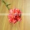 Fresh color Flame Orange cut fresh carnations