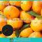 Organic citrus fertilizer