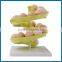 Egg Rack Egg Holder new New Products for kitchen storage comes with screw and tools set