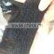 human hair cheap halo hair extensions Brazilian virgin remy Flip in hair extension                        
                                                Quality Choice