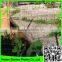 100% new material PE plastic tomato climbing net add UV additives