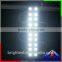 0.8W 100lm OSRAM 5050SMD back light LED module for lightbox