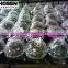 Mp3 player magic ball HS-E18M