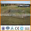 galvanized cattle yard panel