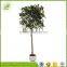 wholesale plastic true trunk high simulation banyan bonsai tree for sale