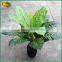 china supplier artificial bonsai tree price bonsai plants for sale