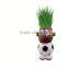 Wedding Return Gift Pots Garden Mini for Plants White Plant