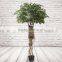 Fake Decorative Ficus Tree Artificial Ficus Tree Plant For Landscape Project