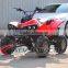 4 Wheel 800w Cheap Price ATV For Adults