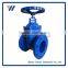 Professional China Manufacturer Customized Cast Iron Valve