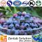 hot sale pure bilberry fruit powders, bilberry anthocyanidins