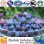 hot sale pure bilberry fruit powders, bilberry anthocyanidins