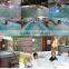 Hot Tub Shell Sale Sex Massage Swim SPA Outdoor SPA Swim Pool