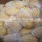 new crop fresh potato